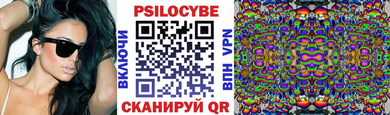 Галлюциногенные грибы Cubensis  Купить закладки  Зерноград 